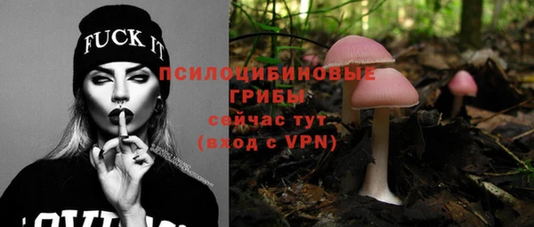 Альфа ПВП Верея