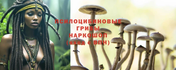 Альфа ПВП Верея