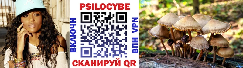 ссылка на мегу ONION  Сосновоборск  Псилоцибиновые грибы Psilocybine cubensis 